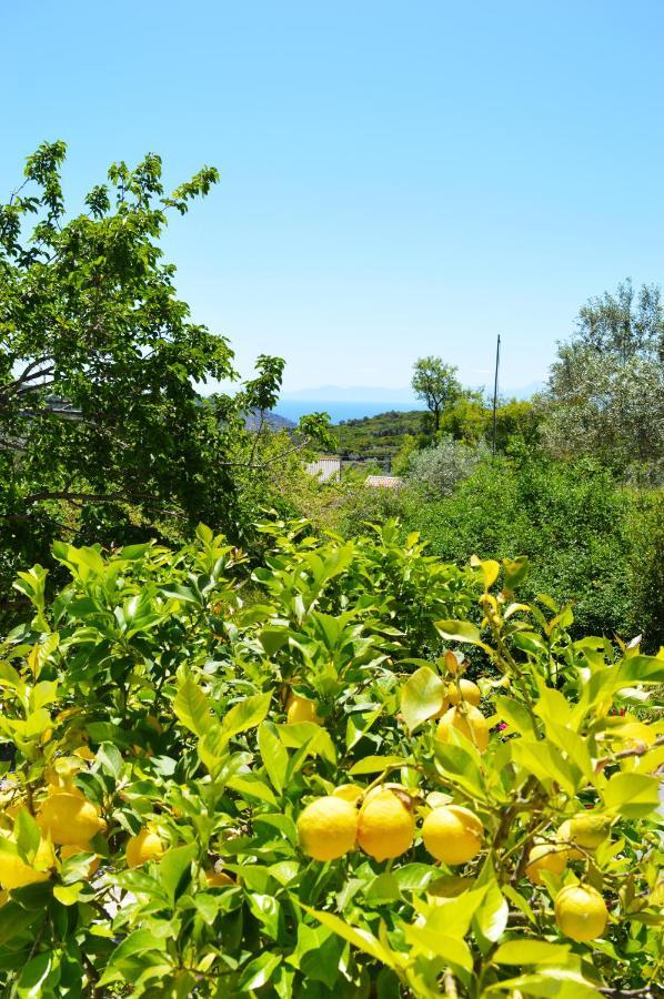 Panormos  Alikias Country House מראה חיצוני תמונה