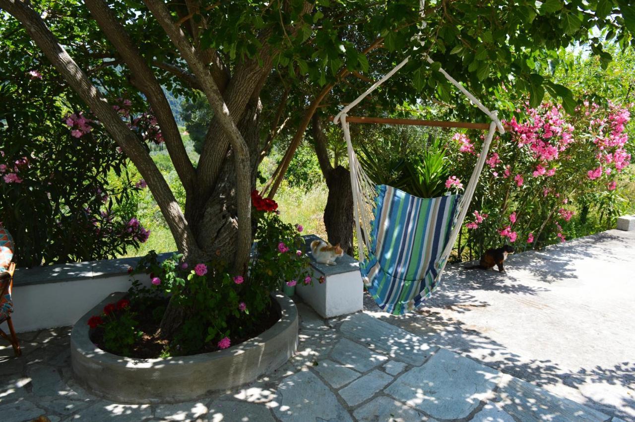Panormos  Alikias Country House מראה חיצוני תמונה
