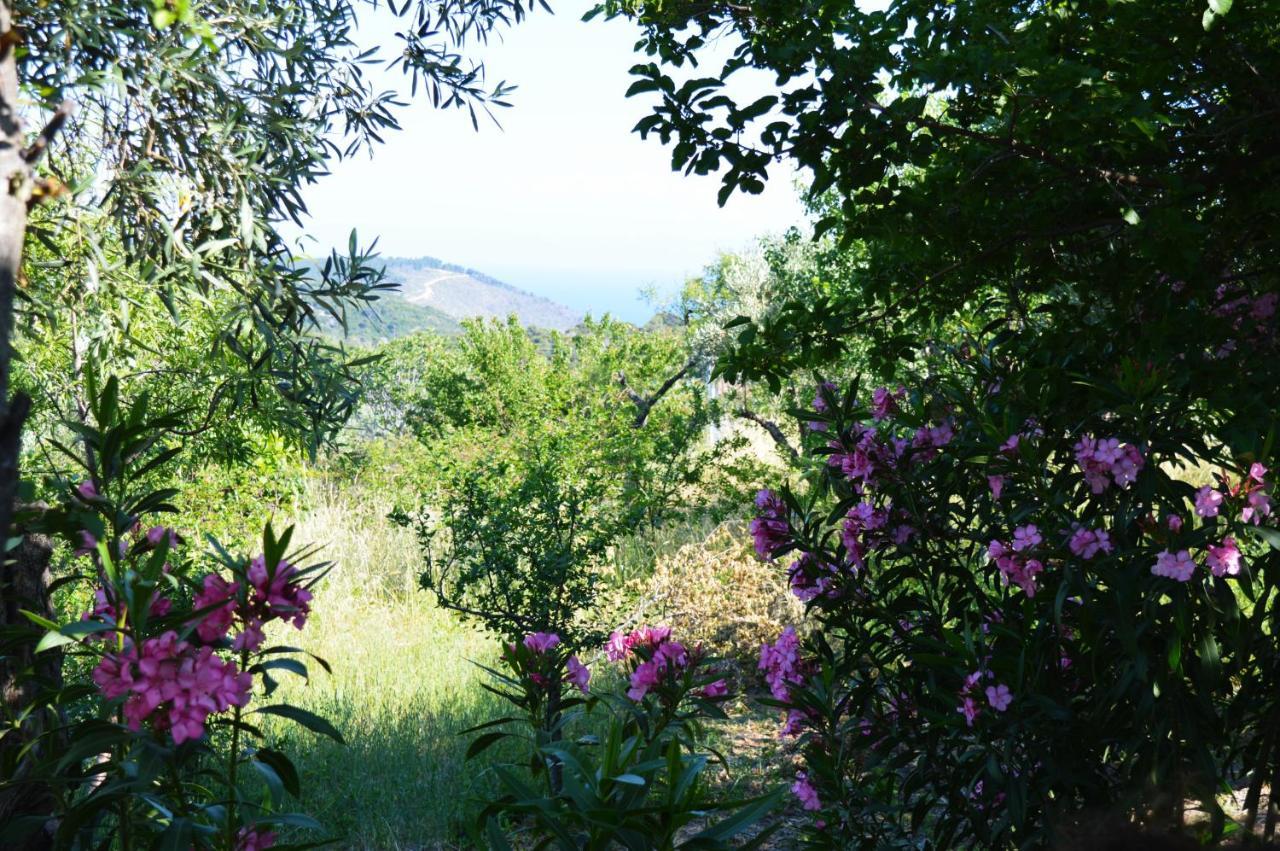 Panormos  Alikias Country House מראה חיצוני תמונה