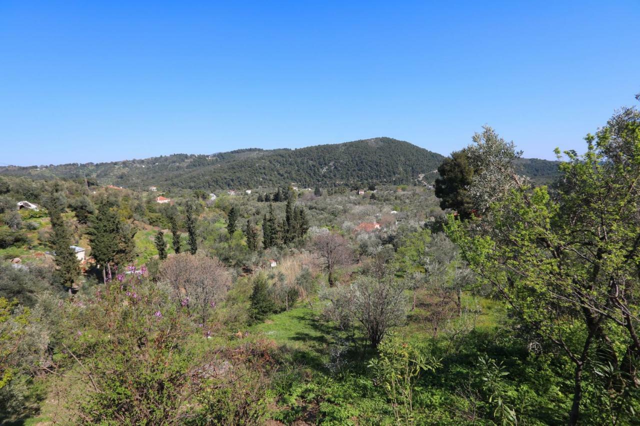 Panormos  Alikias Country House מראה חיצוני תמונה